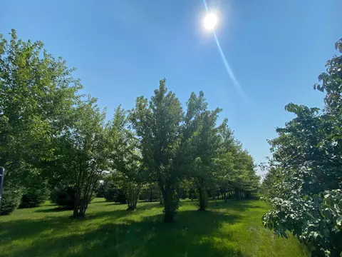 53631 830th St, Jackson, MN 56143 photo 15