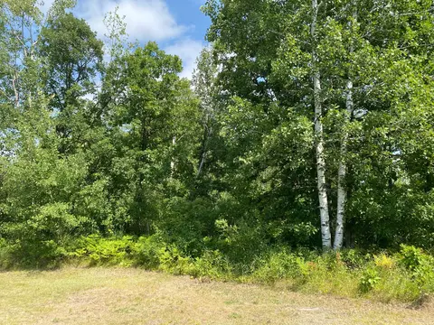 45772 115th Ave, Becida, MN 56678 photo 11