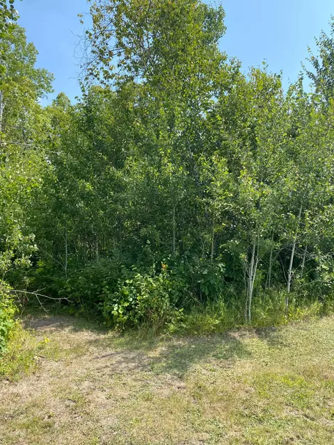45772 115th Ave, Becida, MN 56678 photo 14