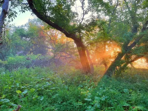 Nnn Bank 80 Road Se, Osakis Twp, MN 56360