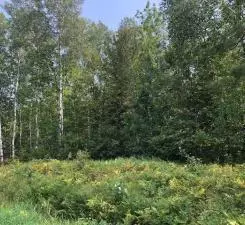tbd County 60, Taconite, MN 55709