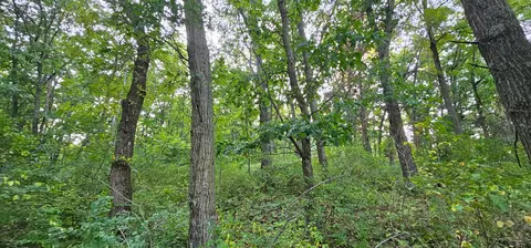 Tbd Village Road, Rushford, MN 55971