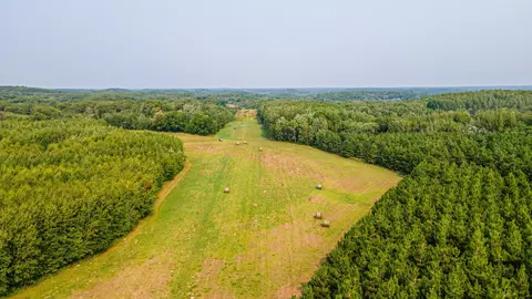 29675 Azure Rd, Cushing Twp, MN 56443 photo 62