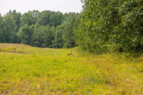 29675 Azure Rd, Cushing Twp, MN 56443 photo 77