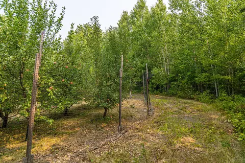 29675 Azure Rd, Cushing Twp, MN 56443 photo 70