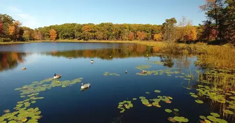 29675 Azure Rd, Cushing Twp, MN 56443 photo 118