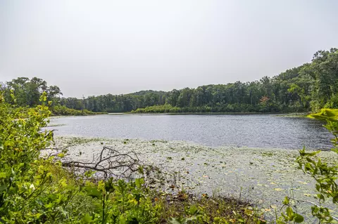 29675 Azure Rd, Cushing Twp, MN 56443 photo 102