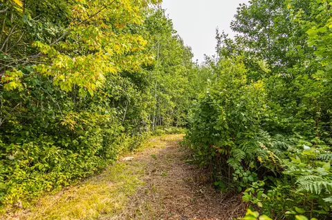 29675 Azure Rd, Cushing Twp, MN 56443 photo 83