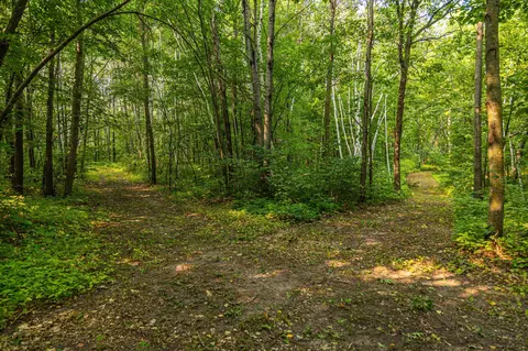 29675 Azure Rd, Cushing Twp, MN 56443 photo 39