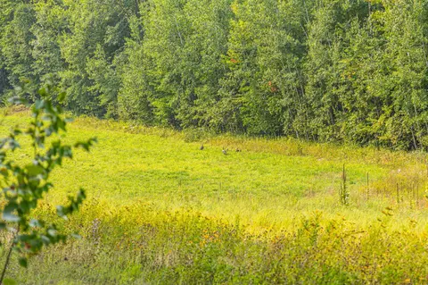 29675 Azure Rd, Cushing Twp, MN 56443 photo 58