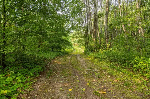 29675 Azure Rd, Cushing Twp, MN 56443 photo 28