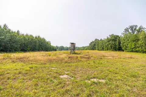 29675 Azure Rd, Cushing Twp, MN 56443 photo 73