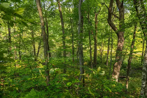 29675 Azure Rd, Cushing Twp, MN 56443 photo 105