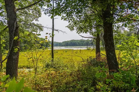 29675 Azure Rd, Cushing Twp, MN 56443 photo 106