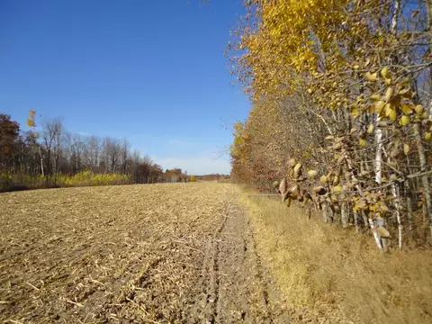 29675 Azure Rd, Cushing Twp, MN 56443 photo 126