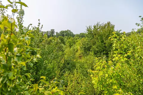 29675 Azure Rd, Cushing Twp, MN 56443 photo 82