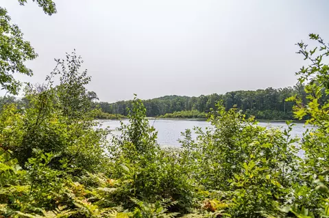 29675 Azure Rd, Cushing Twp, MN 56443 photo 103