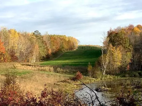 29675 Azure Rd, Cushing Twp, MN 56443 photo 116