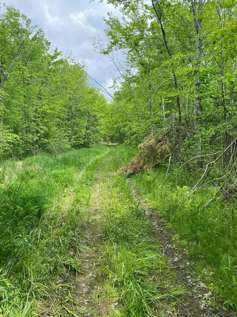 Nnn Zimmerman Road, Willow River, MN 55795