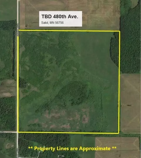 tbd 480th Ave, Salol, MN 56756
