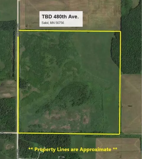 Tbd 480th Avenue, Salol, MN 56756