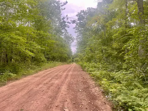 Nnn Duncan Road, Wilma Twp, MN 55072