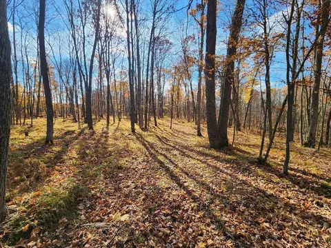 Nn Timberland Road, Roosevelt Twp, WI 54813