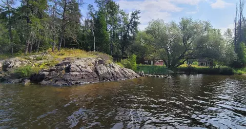 2585 Town Road 269, International Falls, MN 56649