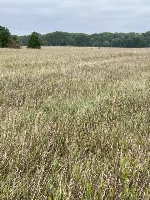 Tbd County Road 3, Fifty Lakes, MN 56448