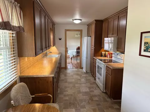 207 S Maple St, Tyler, MN 56178 photo 18