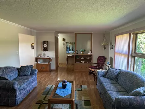 207 S Maple St, Tyler, MN 56178 photo 36