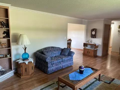 207 S Maple St, Tyler, MN 56178 photo 37