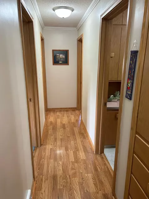 207 S Maple St, Tyler, MN 56178 photo 38