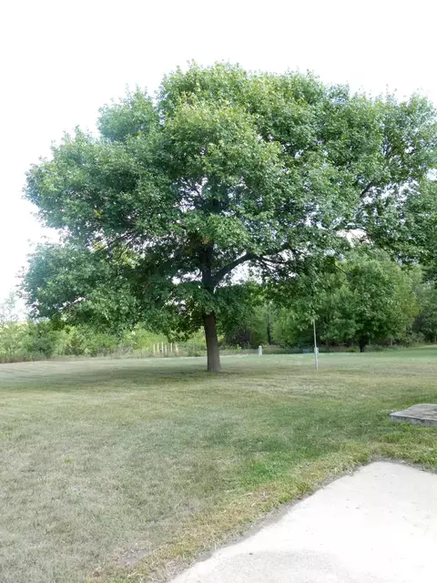1145 Lakeview Ave, Windom, MN 56101 photo 25