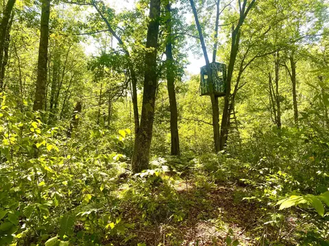 Tbd-25ac Velvet Street, Kroschel Twp, MN 55072