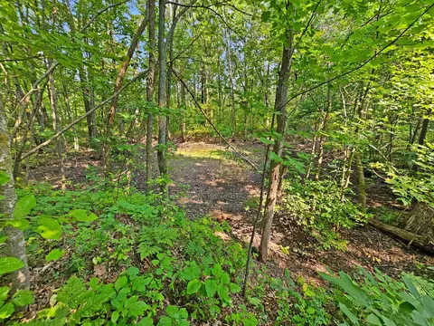 20249 Tower Rd, Ironton, MN 56455 photo 26