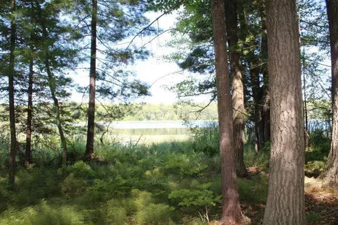 26476 Tame Fish Lake Rd, Deerwood, MN 56444