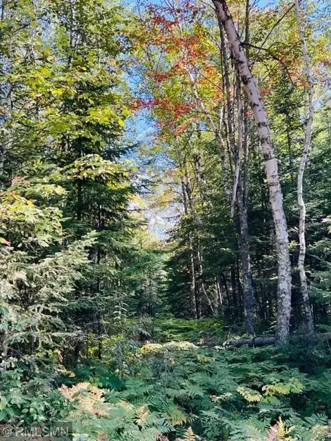 tbd Tobique Rd NE, Remer, MN 56672