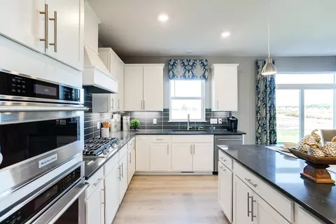 13119 Arbor Path, Rosemount, MN 55068