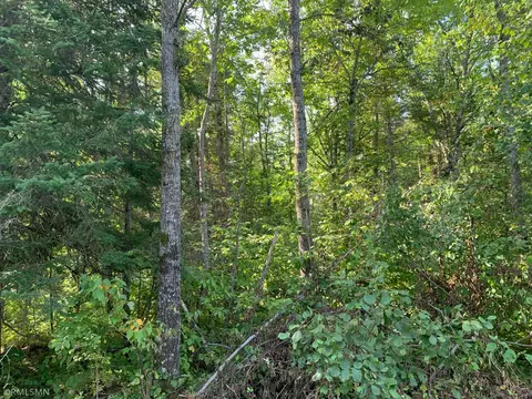 Nnn 500th Lane, Tamarack, MN 55787