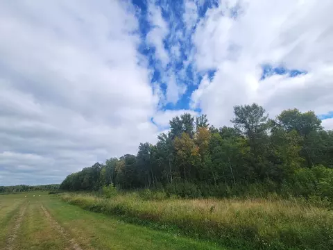 Tbd Parcel D State Highway 371, Backus, MN 56435 photo 21