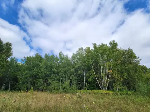 Tbd Parcel D State Highway 371, Backus, MN 56435 photo 6