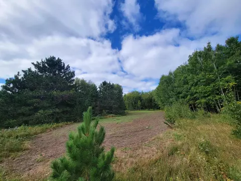 Tbd Parcel D State Highway 371, Backus, MN 56435 photo 12