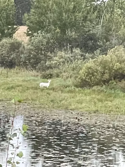 Nn Perch Lake, Evergreen Twp, WI 54801