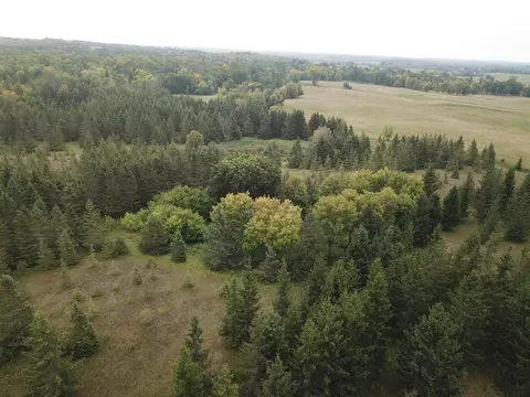45374 161st Ave, Clearbrook, MN 56634 photo 9