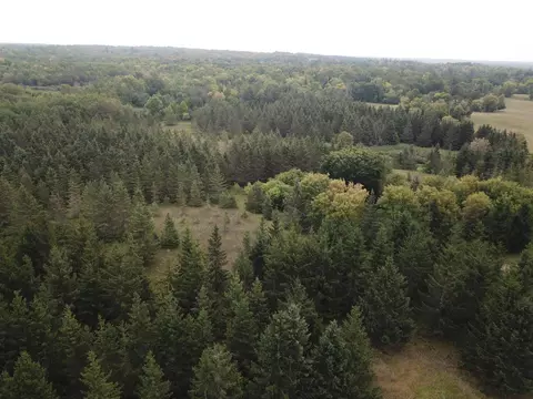 45374 161st Ave, Clearbrook, MN 56634 photo 8