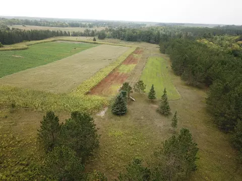 45374 161st Ave, Clearbrook, MN 56634 photo 20