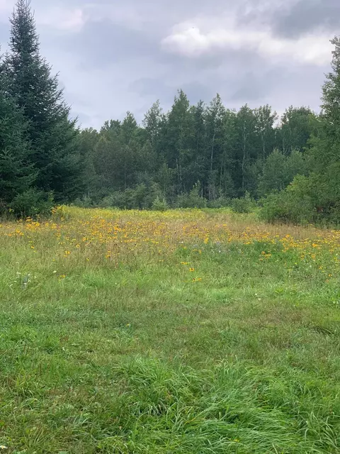 15600 364th St, Mcgregor, MN 55760 photo 64