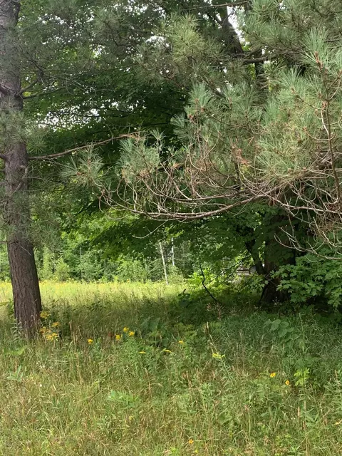 15600 364th St, Mcgregor, MN 55760 photo 61