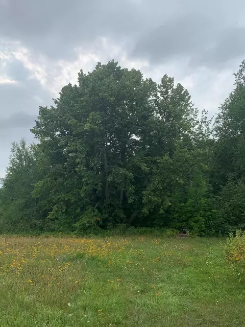15600 364th St, Mcgregor, MN 55760 photo 63
